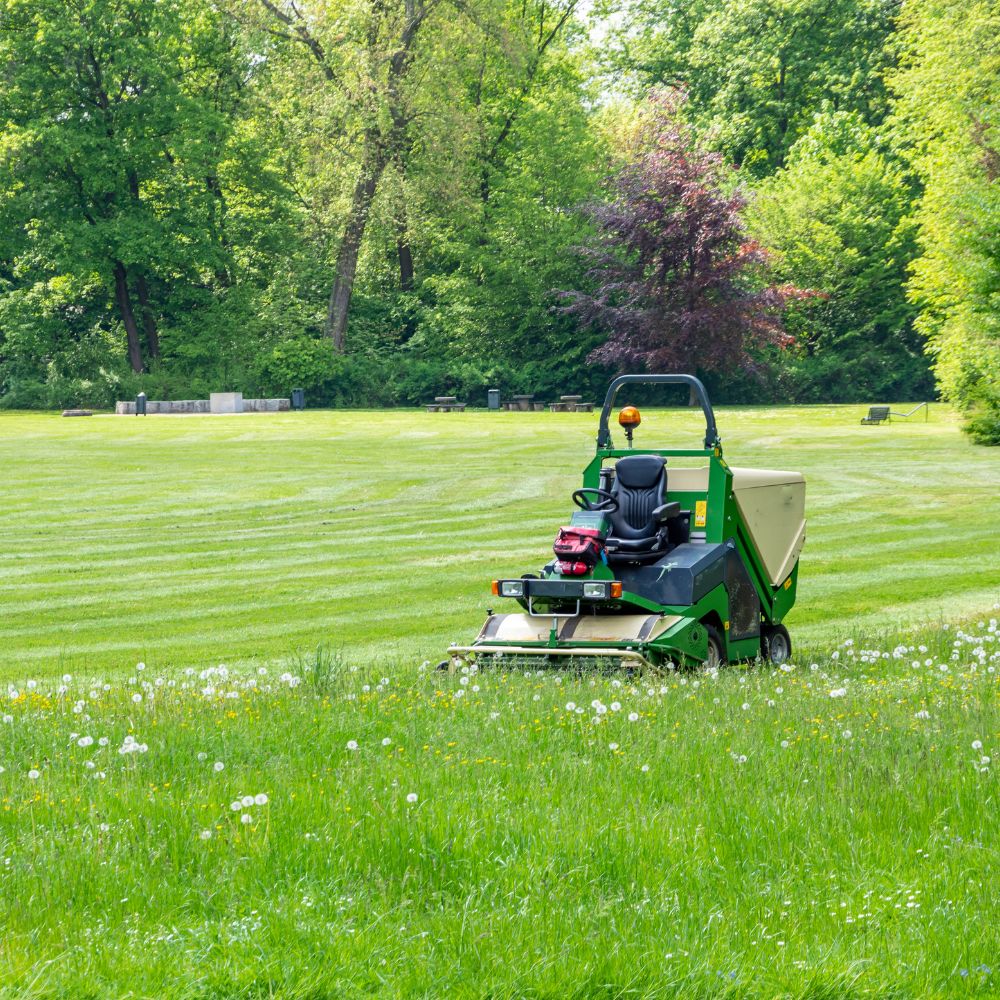 Gartenpflege in Schlieren Maschine Gartenpflege in Schlieren Maschine