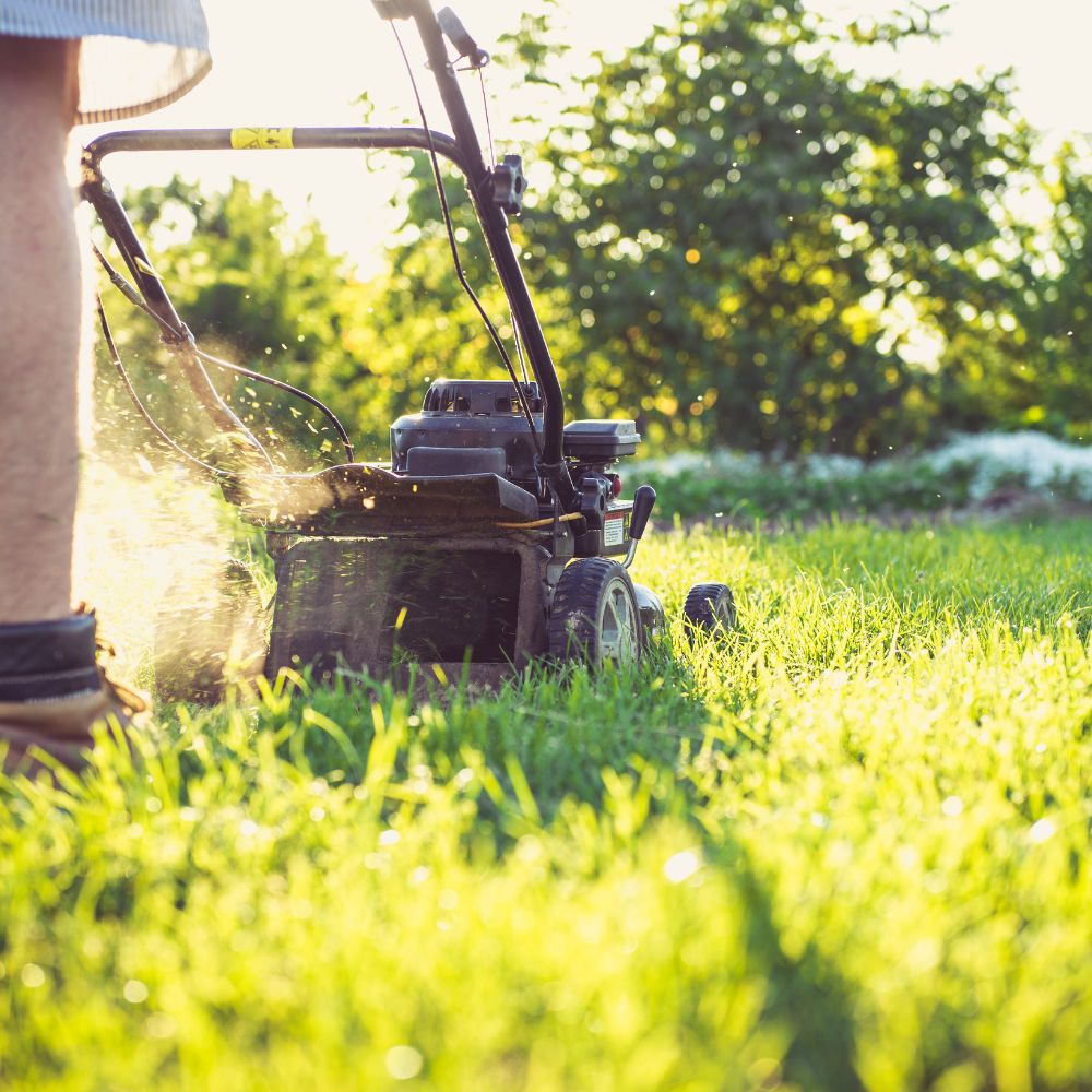 Gartenpflege in Schlieren Sommer Gartenpflege in Schlieren Sommer
